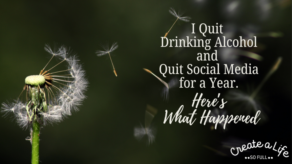 image: A dandelion that has gone to seed, with the seeds blowing away. The dandelion seeds represent the feeling of freedom after the author quit drinking alcohol and using social media.