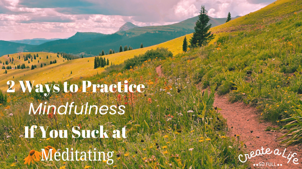 image: the author's photo of the Colorado Trail. Close up of the trail with wildflowers and grass on the sides, with the rocky mountains looming in the distance. Image represents the author's story of how she learned to be mindful without meditation on the colorado trail.